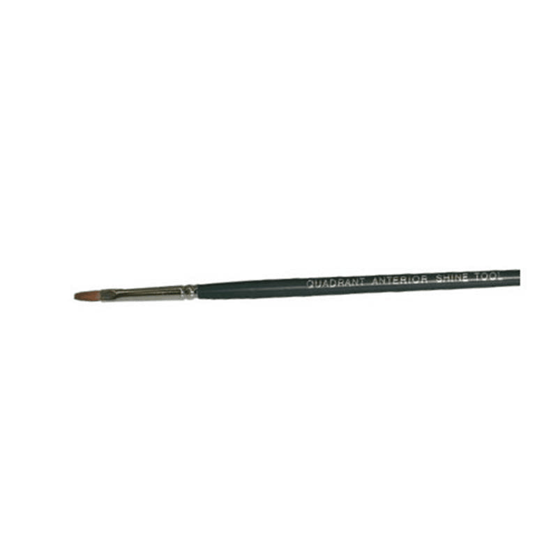 QUAST (QUADRANT ANTERIOR SHINE TOOL)  X12ST.