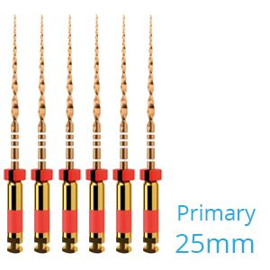 WAVEONE GOLD FILE PRIMARY 25MM .07 NR.25 ROOD X6ST.