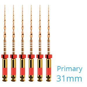 WAVEONE GOLD FILE PRIMARY 31MM .07 NR.25 ROOD X6ST.