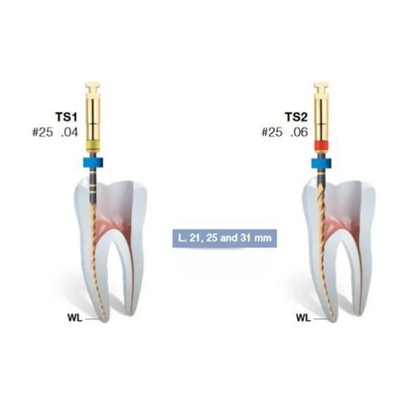 2SHAPE B5 TS2 MINI 21MM. 6% NR.25 X5ST.