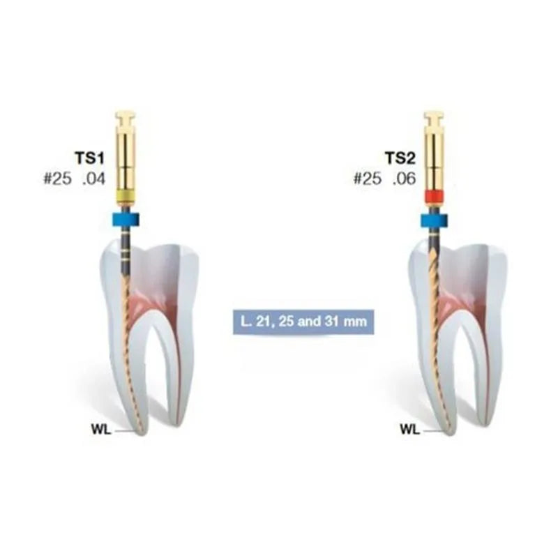 2SHAPE B5 TS2 MINI 21MM. 6% NR.25 X5ST.