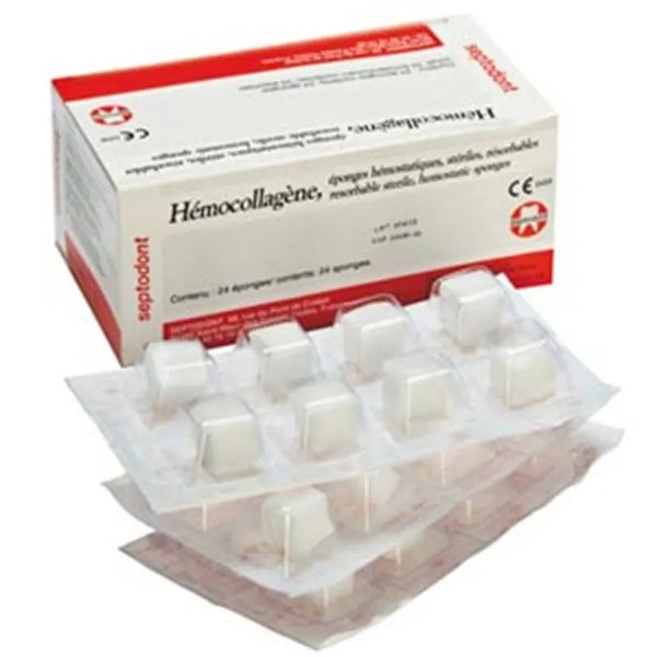 HEMOCOLLAGENE SPONS X24ST.