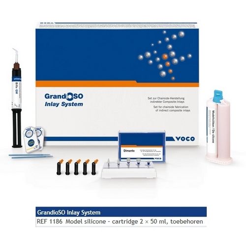 GRANDIOSO INLAY MODEL SILICONE 2X50ML. 1186
