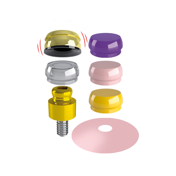 Set OT Equator + Smart Box 131