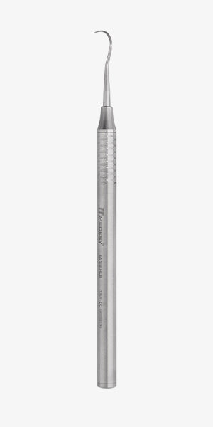 HYGIENIST SCALER H5